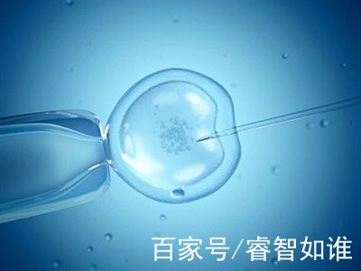 代生包男孩机构