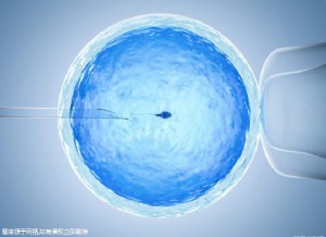 陈教授
